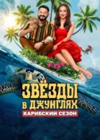 Звёзды в Джунглях